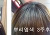 사진有) 미용실에서 뿌리염색 잘못하고 내쫓긴 이야기