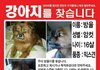 방울이가 예일여고 사거리에서 교통사고에 당했답니다!!!!!!!!!!!