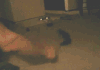 냥이야... 잘자.gif