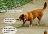 강아지와 사마귀~~!!