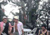 아 님 잠깐만.gif