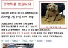 강아지를 도난당했습니다 (동영상첨부)