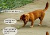 사마귀와 강아지의 대화.jpg