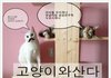 고양이와산다