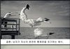 과거인물&격언에서의 결혼에 대한 말말말