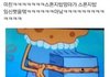 스폰지밥 태아시절