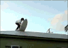 절대 따라하지 마세요...gif