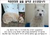 학대와 방치로 삶의 끈을 놓았던 오공이가 가족을 찾습니다