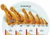 소비자가 가장 선호하는 치킨브랜드..BEST7