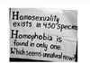동성애 혐오자들을 향한 외침