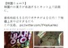 한국을 조롱하는데 신난 열도