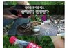 탄산음료 슬러쉬 만드는법