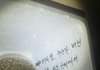 [경남] 고슴도치 무료분양합니다 .. 꼭 도와주세요