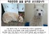 학대와 방치로 인해 삶의 끈을 놓았던 오공이가 가족을 찾아요