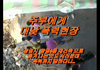 아줌마와 건장한 청년과의 격투