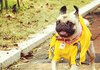 택배왔어요~~~뿌우~~~!!