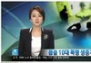 무시무시한 10대 청소년들의...폭행 생중계..news 