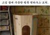 박스를 삿더니 캣타워가 공짜.jpg
