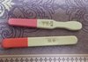 임신테스트기좀 봐주세요..(수정)