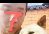 개한테 술멕이는 개념없는페북;;