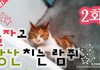 2화 - 놀자고 장난치는 길고양이 람쥐^^_시즌2