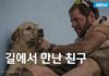 692km의 경기에서 만난 유기견