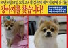 사랑으로 키워 온 저희 강아지를 아빠가 저희 몰래 버렸습니다.