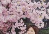 벚꽃 안꺾고 인증샷찍은 여돌 ㅋㅋ