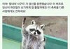 판녀이면 니네 이거 꼭봐야함 ; ㅋ