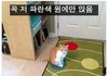 해외 집사들의 고양이 관찰기