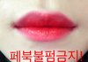 +추가) 헐애드라ㅠㅠ 아이린 입술색 존똑틴트 찾았어!!!!