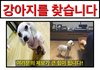 (추가)가족을찾습니다 제발 봐주세요