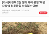 시한부 딸이 죽어 묻힐 무덤에 종일 누워 있는 아빠