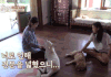 이효리네 애완동물들과 친해진 아이유
