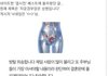 자궁경부암은 성병. 남의사가 말하지 않는 진실..