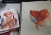 물고기 그림 그렸음!(붕어 - 1)