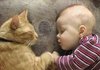 아기와 고양이 괜찮을까요?