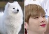 강다니엘 싱크로율이..