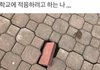 너희 혹시 찐따 같은 안경 쓴 애들