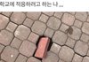 나만 빼고 반애들 다 친해졌는데 소외감 오진다
