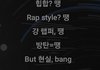 방탄 랩라에게 악플러란.jpg