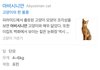 고양이 셋째 분양받은 강다니엘