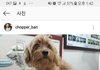 얘들아이강아지곧죽는대ㅠㅠㅠㅠ