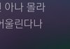 아이유 신곡 가사중에 이거 설리 아님?