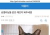 김용국 고양이 유기사건(+회사피드백추가++본인 자필 사과문