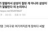 플레디스에게 제대로 된 일침 가하는 세븐틴 팬