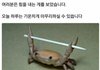 판녀들 모두 행복한 2019년 되길 바라