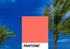 2019년 팬톤 선정 올해의 색