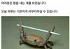 ㄴ너네 파데 뭐 썽