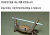 전문사립대가 그렇게 인식이 안좋아...?